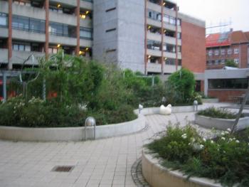 image6